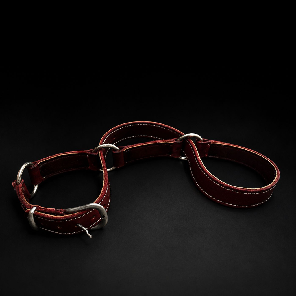 Wrist & Ankle Restraint Loop
