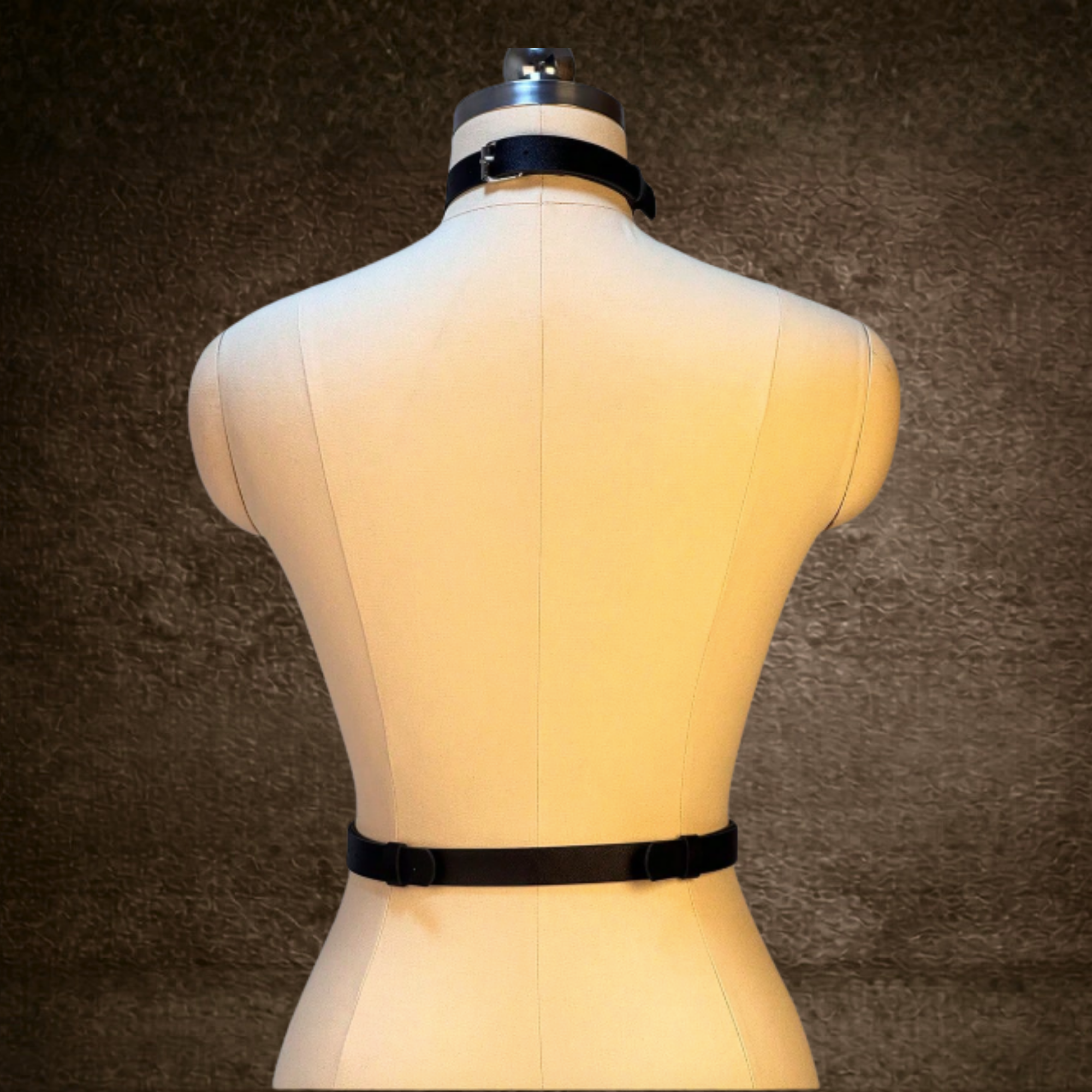 Neck and Waist Harness