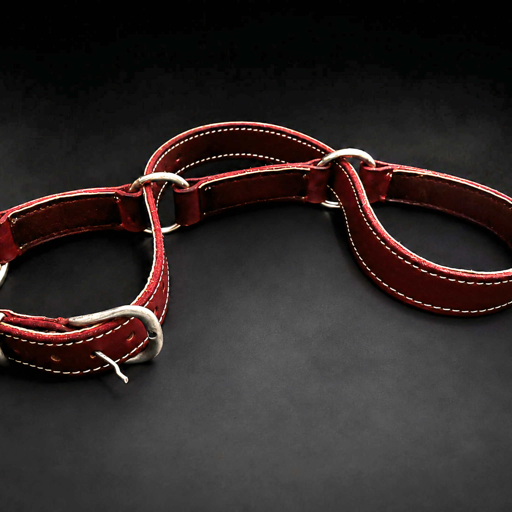 Wrist & Ankle Restraint Loop